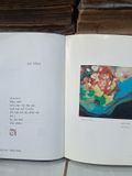  Dấu Sóng - Tường Linh, Hướng Dương 