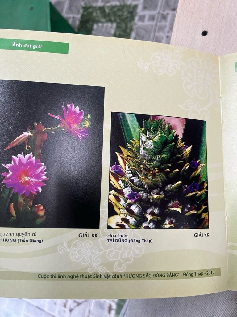  Hương Sắc Đồng Bằng 