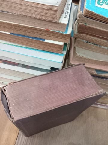  Dorland's illustrated Medical Dictionary 