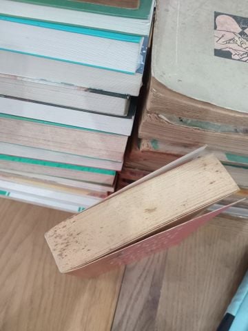  Don't you forget about me - Mhairi McFarlane 