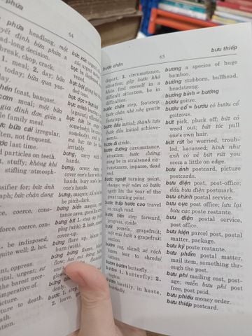  Từ điển Việt Anh - Bùi Phụng 