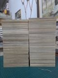  Truyện Tranh Tứ Đại Danh Bộ 