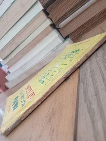 Cái Hay trong Nghệ Thuật Cờ Tướng - Dương Diên Hồng