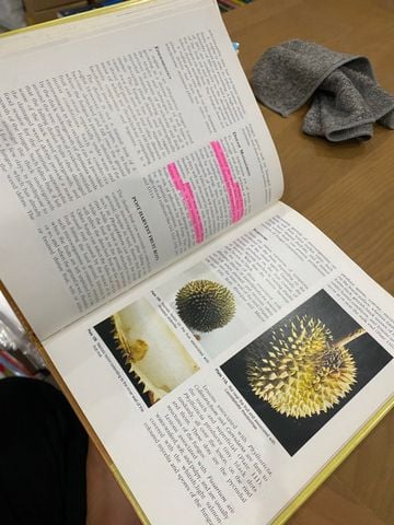  Durian Diseases and Disorders - Lim Tong Kwee 