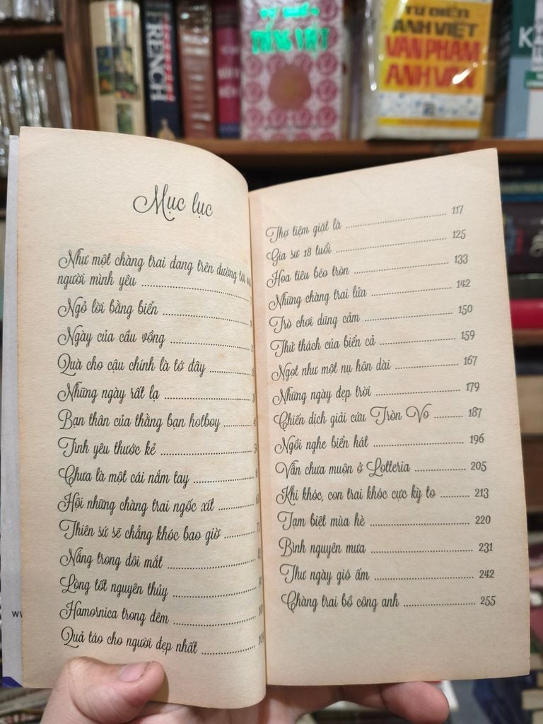  Thư Ngày Gió Ấm - Việt Anh 