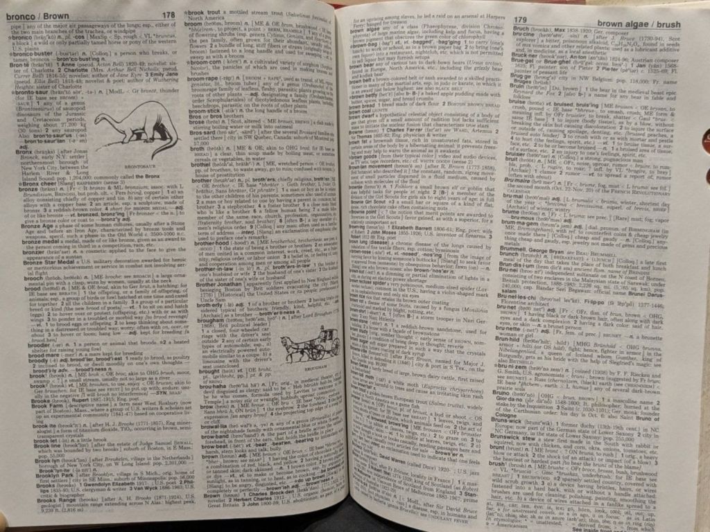  Webster's New World College Dictionary 
