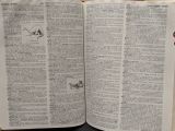  Webster's New World College Dictionary 