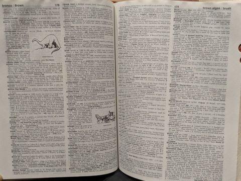 Webster's New World College Dictionary