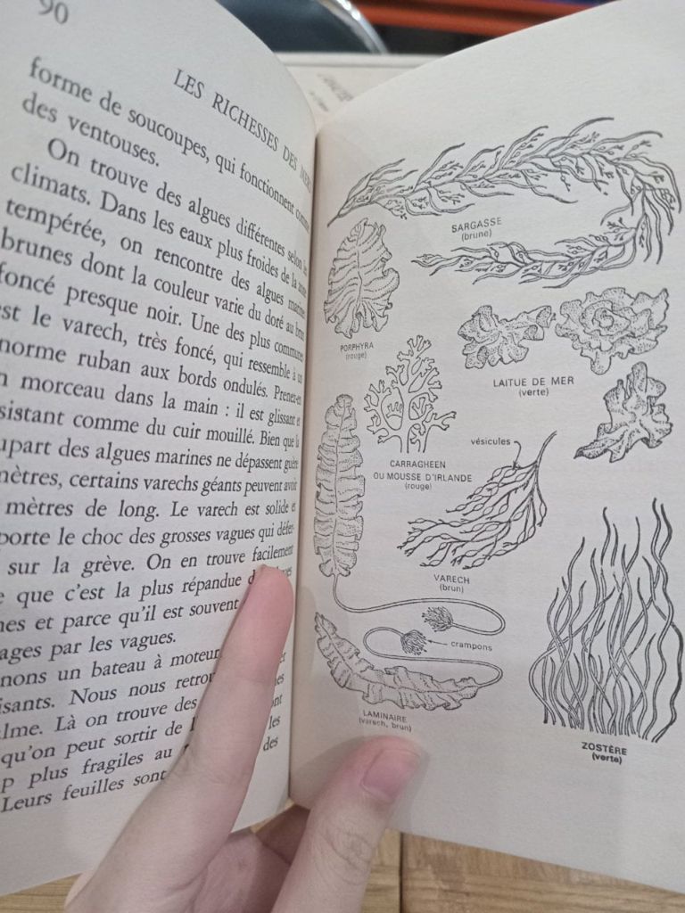  Les Richesses Des Mers - Helen W. Vogel, Mary L. Caruso 