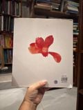  Trẻ Em Trong Ngọn Lửa Chiến Tranh - Chihiro Iwasaki 