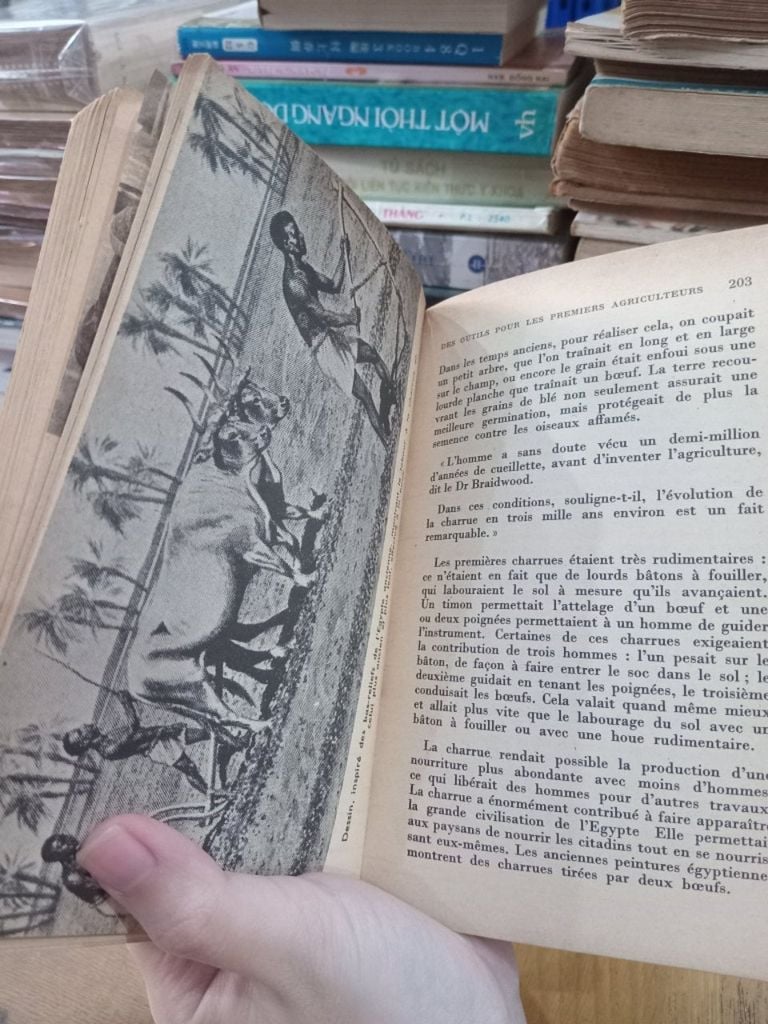  Les Fruits de la Terre - Winifred G. Hammond 