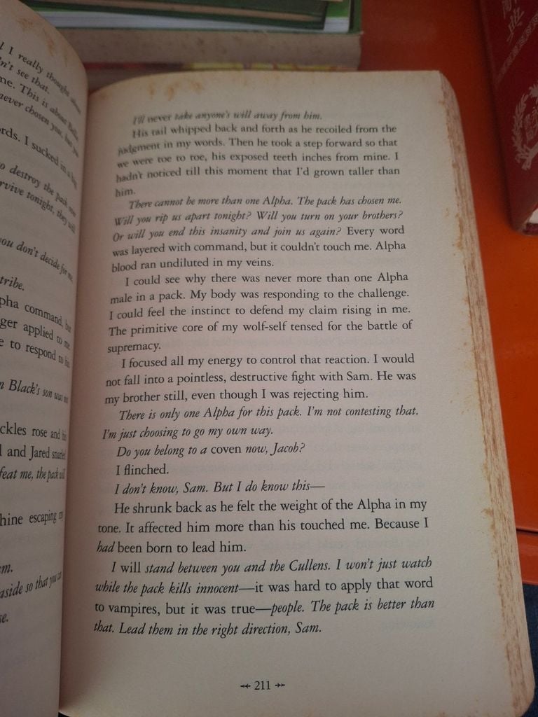  Breaking Dawn - Stephenie Meyer ( Tiếng Anh ) 