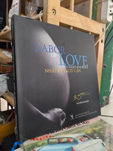  Labor of love: Nhật ký vượt cạn - Nguyễn Vũ Phước 