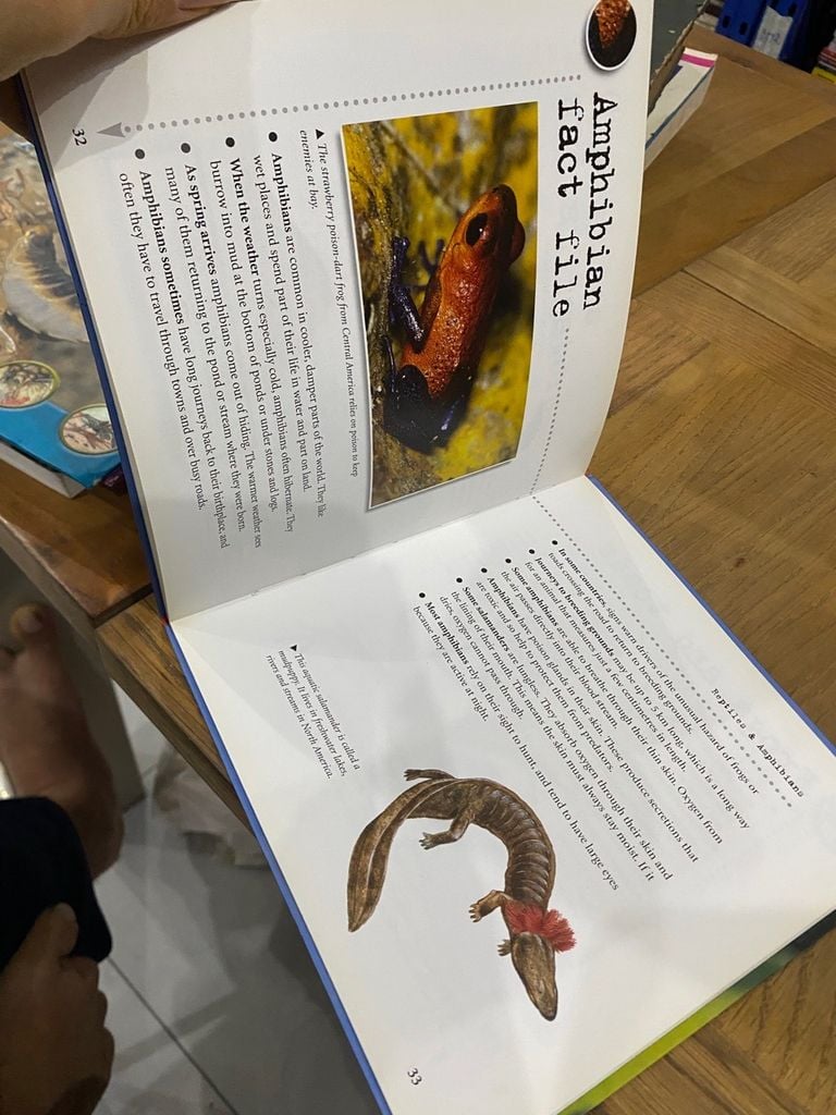  Bulletpoints About Animals 