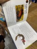 Bulletpoints About Animals 