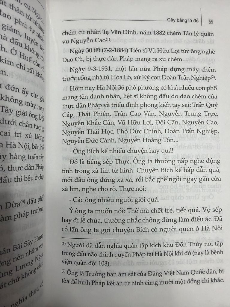  Cây Bàng Lá Đỏ - Lê Văn Ba 