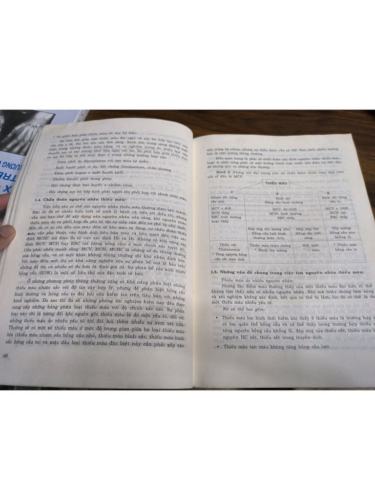  Huyết Học Lâm Sàng Những Vấn Đề Có Tính Chất Định Hướng - James P. Isbister, D. Harmening Pittiglio 