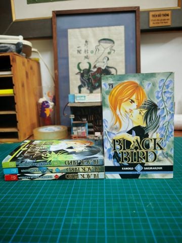  Truyện tranh Black Bird 