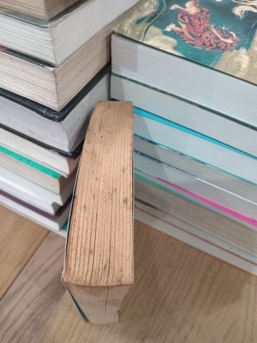  High five - Janet Evanovich 