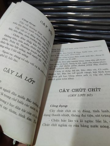 Chữa bệnh bằng cây lá quanh nhà - Nhiều tác giả
