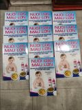  Nuôi Con Mau Lớn - Hồng Phượng - Lan Vy 