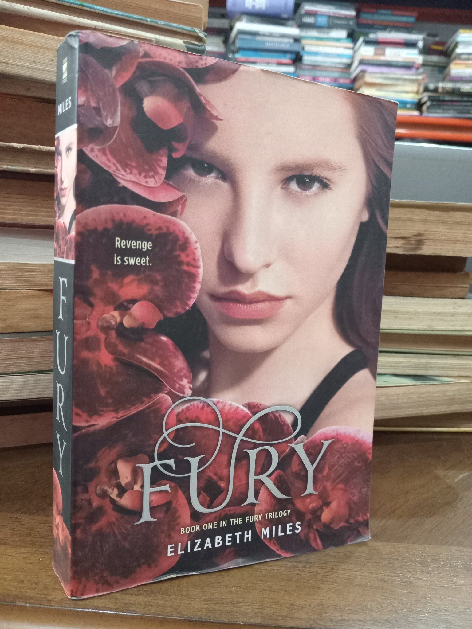  Fury - Elizabeth Miles 