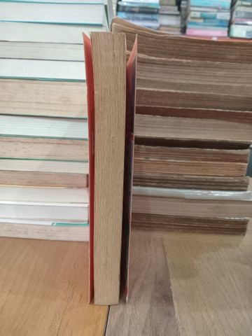  A long way down - Nick Hornby 