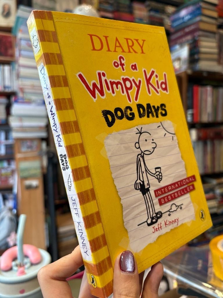  Diary of a Wimpy Kid Series - Jeff Kinney 