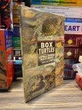  Box Turtles - Jordan Patterson 