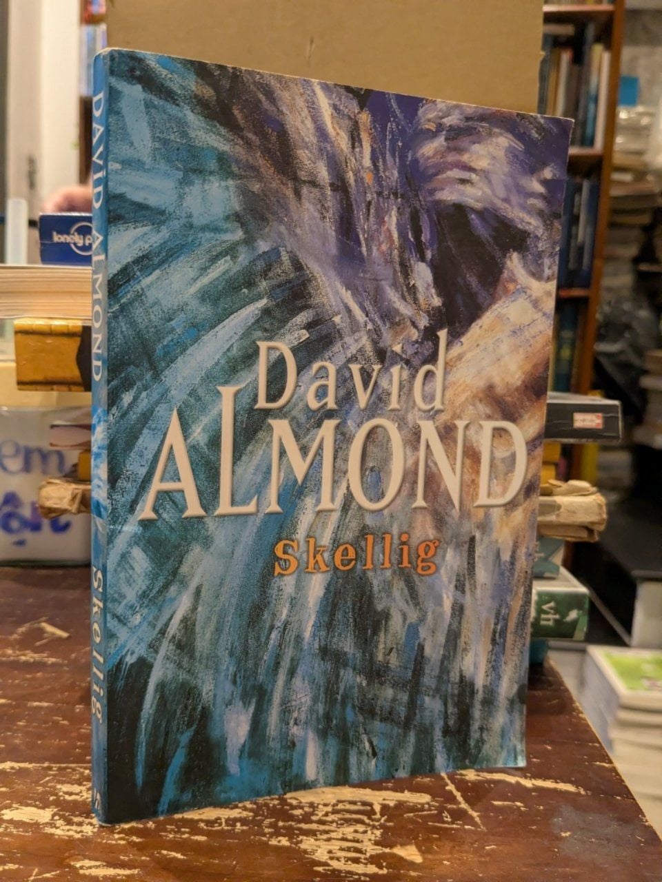  Skellig - David Almond 