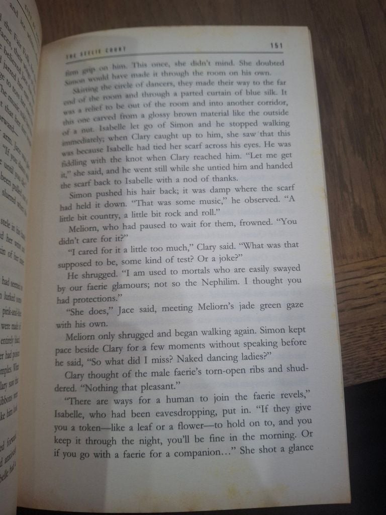  City Of Ashes - Cassandra Clare 