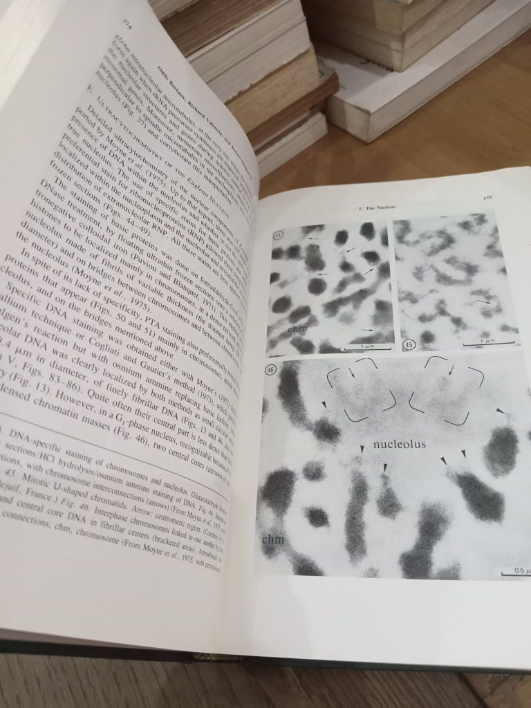  The Biology of Euglena - Dennis E.buetow 