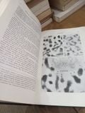  The Biology of Euglena - Dennis E.buetow 