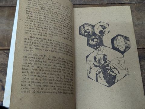 Thế Giới Kỳ Lạ của Loài Ong - Minh Hương