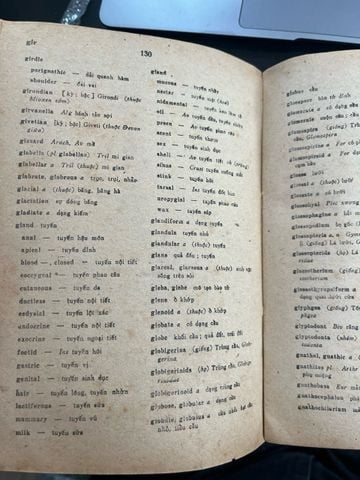  Từ điển cổ sinh vật Anh Việt 