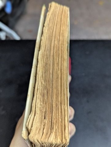  Mối tình của chàng nhạc sĩ - Hermann Hesse 