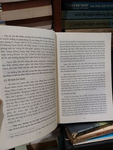  Tiếp cận một số vấn đề văn hóa Champa - Sakaya 