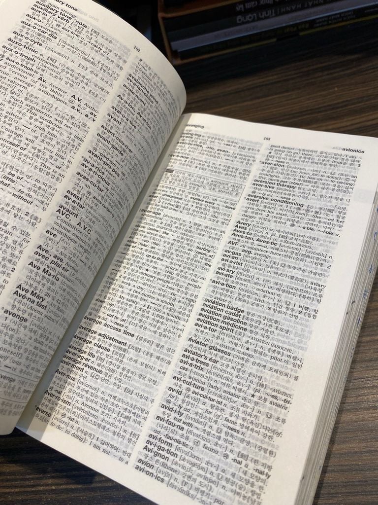  Korea- English Dictionary - Minjung's Essence 