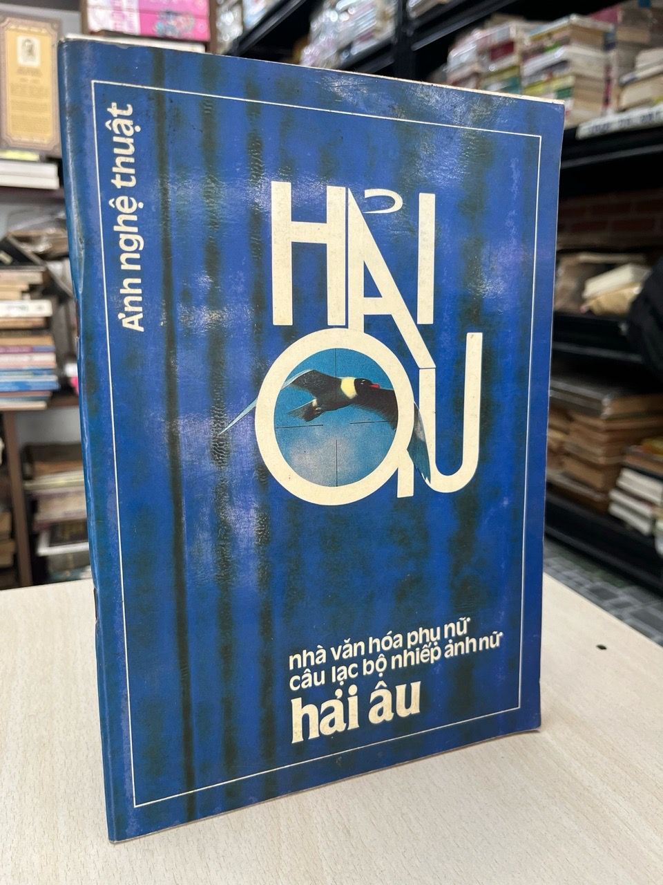  Ảnh nghệ thuật: Hải Âu 