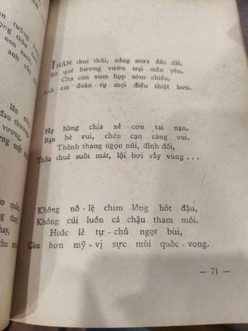  Đồi Thông Hai Mộ - Tùng Giang, Vũ Đình Trung 