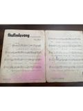  Thu Tím Lá Vàng - Vân Tùng 