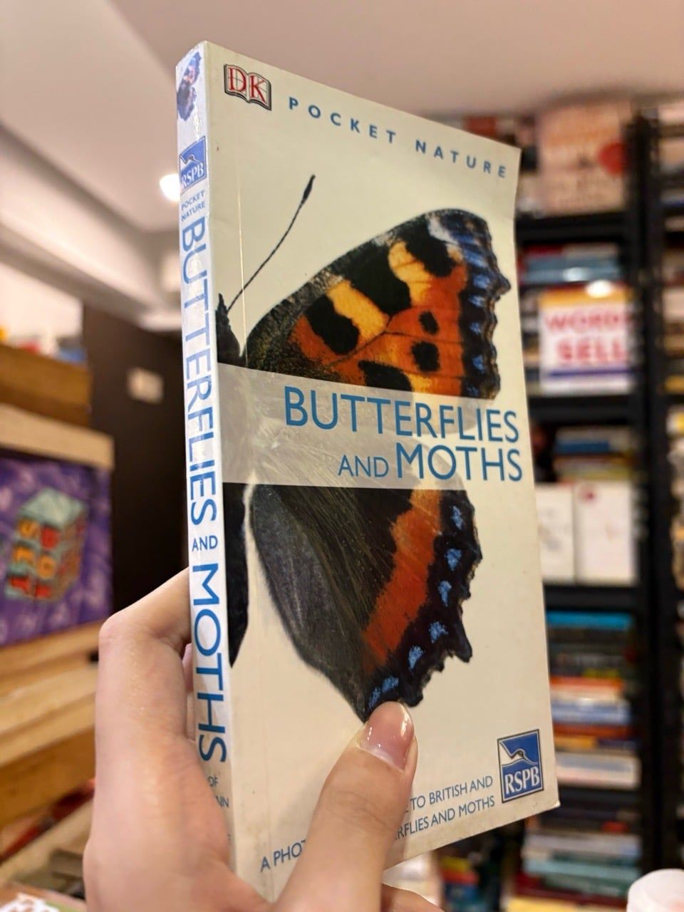  Pocket nature : Butterflies and moths 
