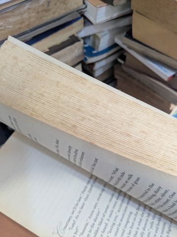  RUDE AWAKENINGS OF A JANE AUSTEN ADDICT A NOVEL - Laurie Viera Rigler 