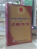  Các Quy Định Pháp Luật Về Sở Hữu Trí Tuệ 