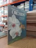  How To Grow Orchids 