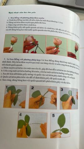  Cắm hoa đơn giản - Thục Nữ 