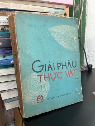  Giải phẫu thực vật 