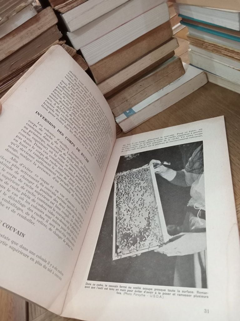  L'Élevage Des Abeilles 