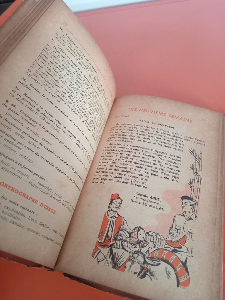  Grammaire Cours Moyen - Une Réunion De Professeurs 