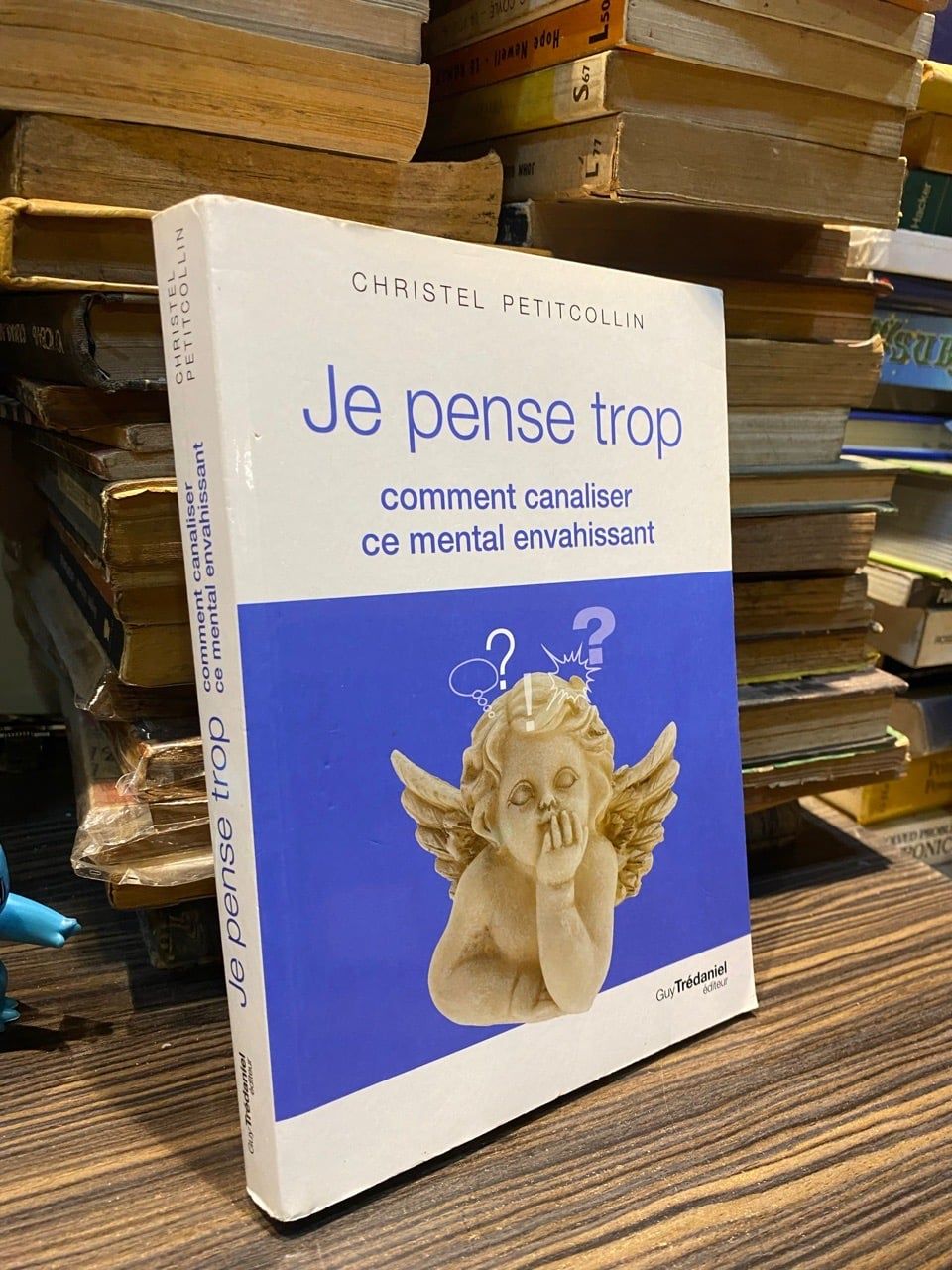  Je Pense Trop: Comment Canaliser Ce Mental Envahissant - Christel Petitcollin 